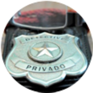 Detectives Privados
