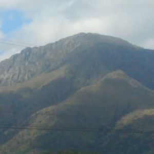 Néstor